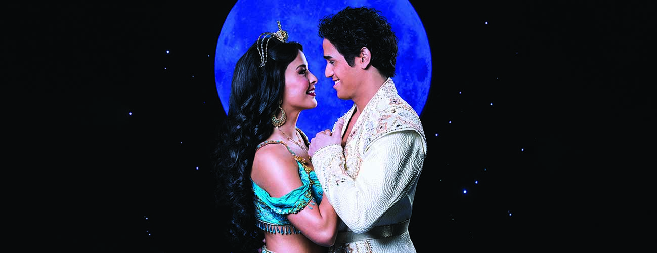 Aladdin-PMI Promo Codes December 2018
