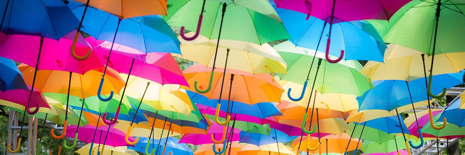 1901_20170602_Rosensteel_0041