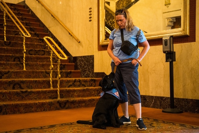 A woman, Kelli, stands in front of a black lab puppy, Ace, who sits and looks up at her. Behind them is a red carpeted staircase.