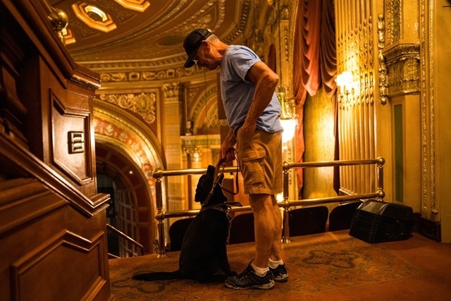  A man, Rich, looks down at the black lab puppy at the entrance of the balcony seating. His hand is in a pocket, ready to pull out a treat. The puppy looks up at him. Behind them you can see a bit of the ornate proscenium and ceiling.