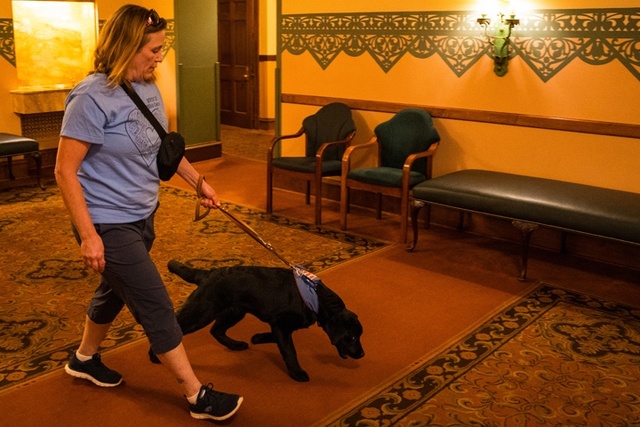 The woman walks with the black puppy on his leash. The puppy is pulling slightly ahead.