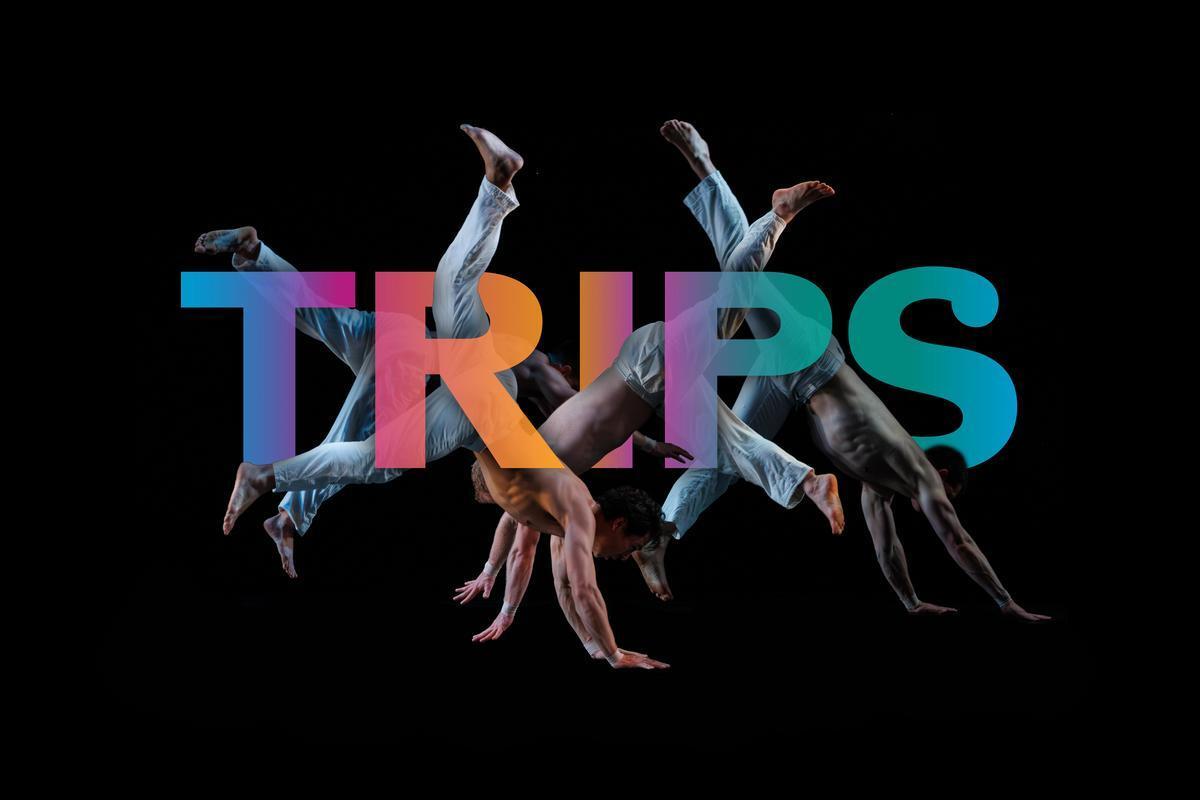 Pilobolus