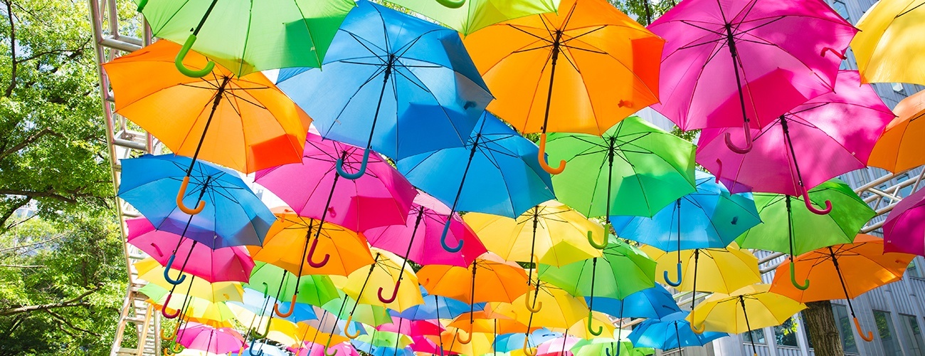 a photo of unbrella sky project, a canopy of colorful umbrellas displayed at the 2017 three rivers arts festival