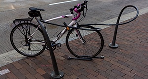 Artist Designed Bike Racks