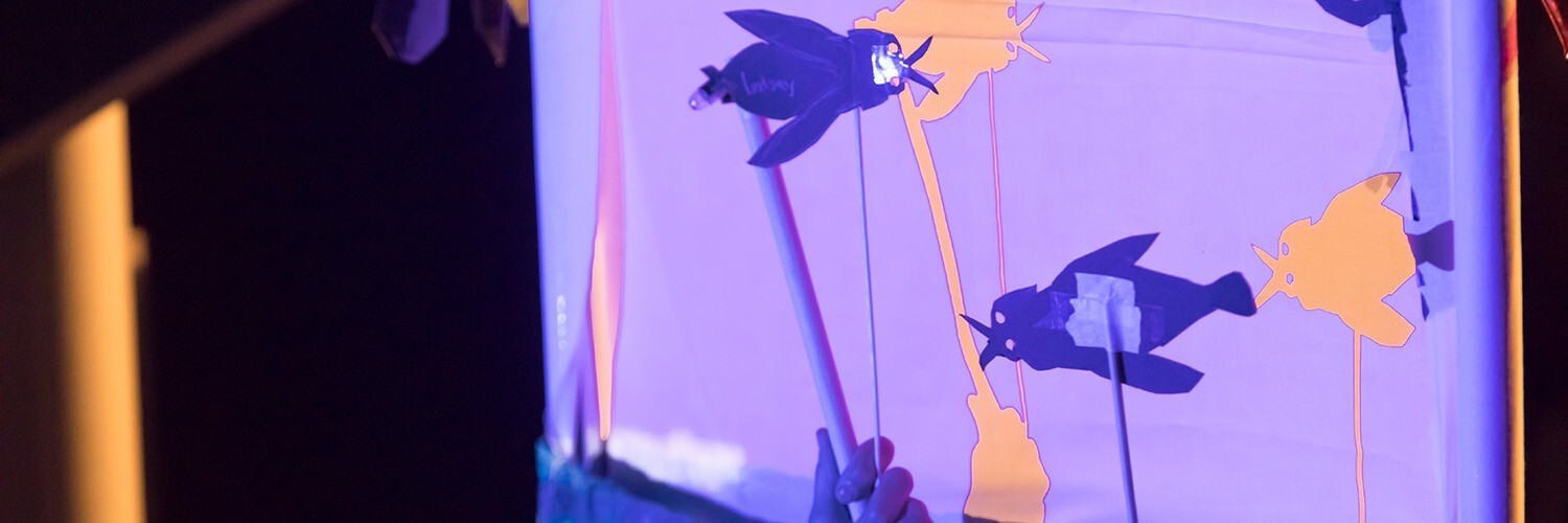 Young Writers and Illustrators, You're A Puppeteer!