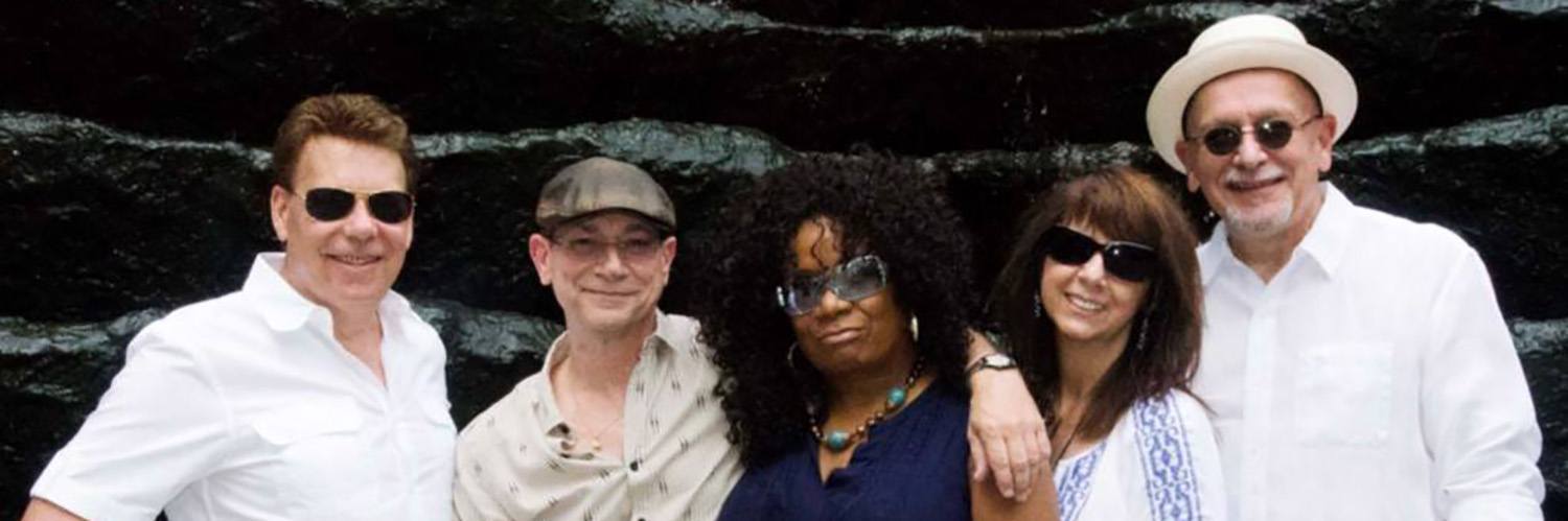 The Stevee Wellons Band