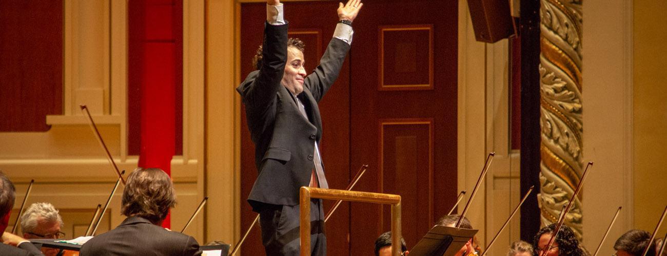 Schooltime: Bunheads