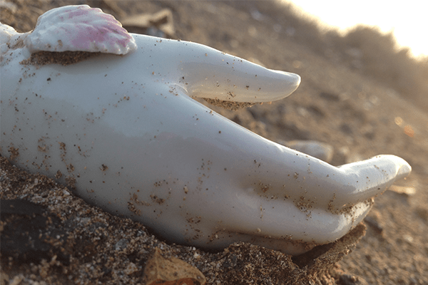 The Domesticity of Abandonment curated by Carolina Loyola-Garcia