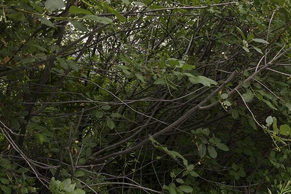 Off-Road, work by Sarah Keeling