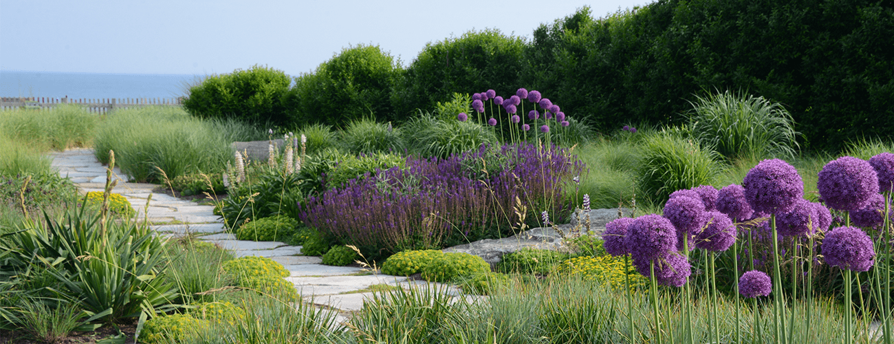 The New American Garden:  The Landscape Architecture of Oehme, van Sweden