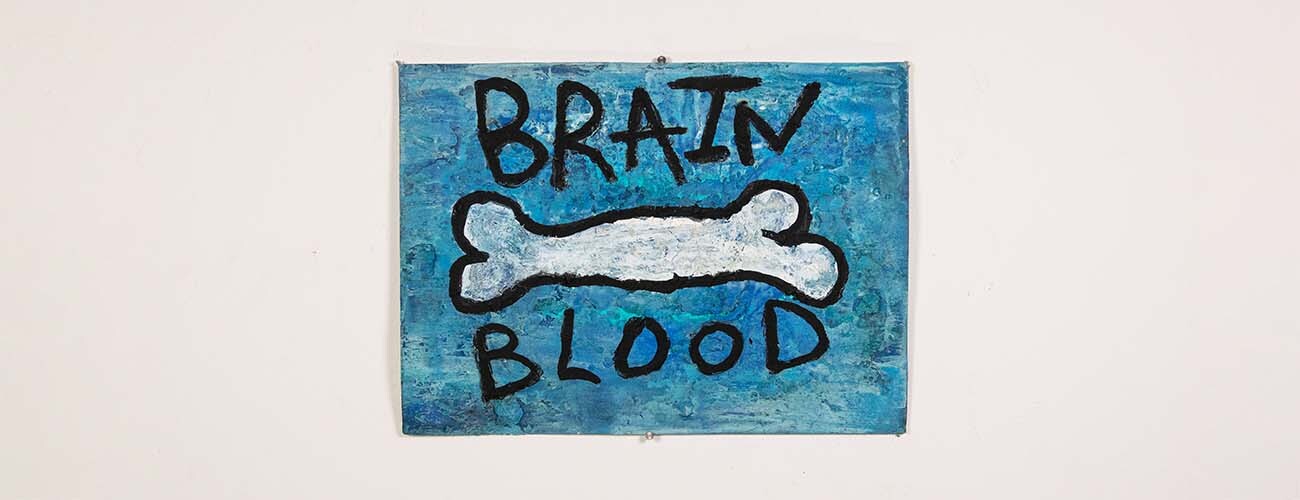 BRAIN BONE BLOOD