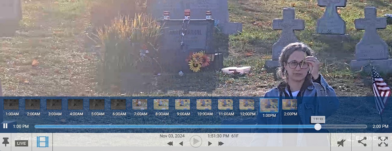 Lydia Rosenberg: lawn