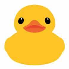 The Rubber Duck Project