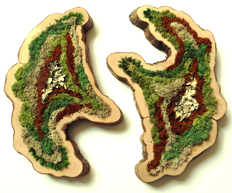  I’ve Been Out Walking by Ashley Jean Hickey