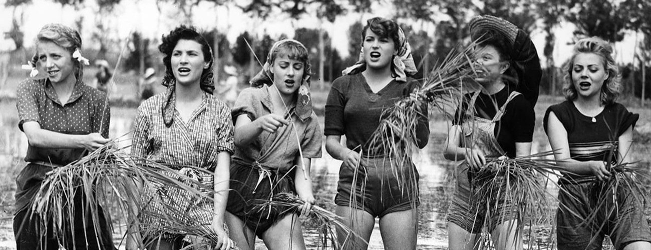 International Art House Classics: Bitter Rice (1949)