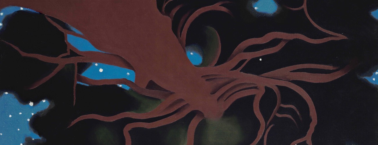 Georgia O'Keeffe: The Brightness of Light