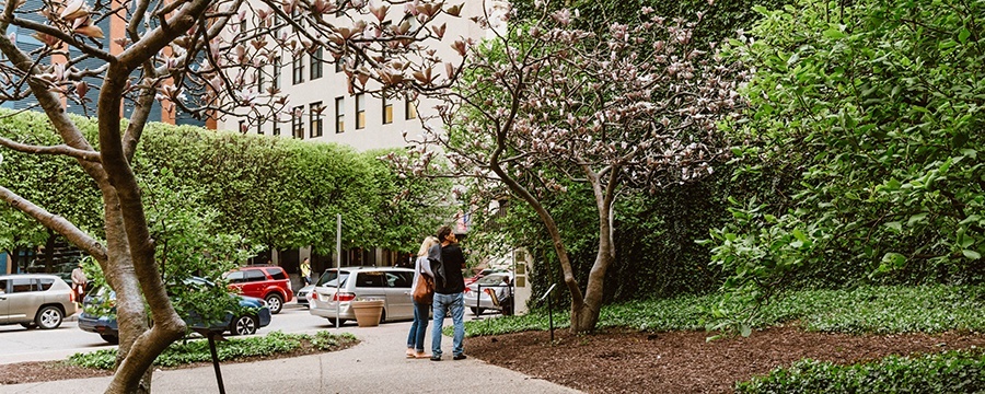 two people admiring the magnolia tree sculptures