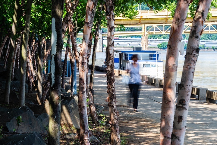 Dense trees lining the city side of the riverfront path