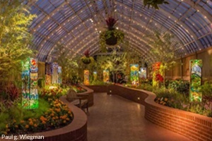 phipps_conservatory_abby_krick_-_phipps_conservatory-_pc_-_paul_g_wiegman.