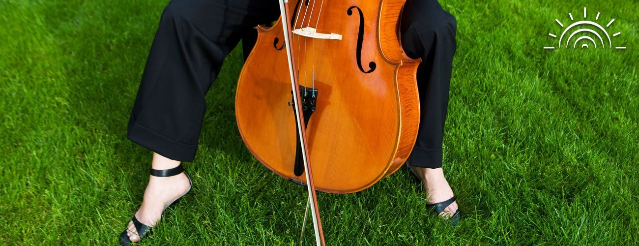 Cello in grass