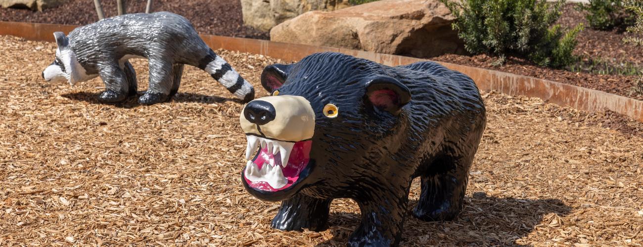 Darian Johnson: Western Pennsylvania Animals