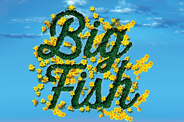 Big Fish