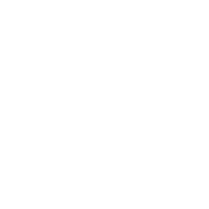 PPT Logo