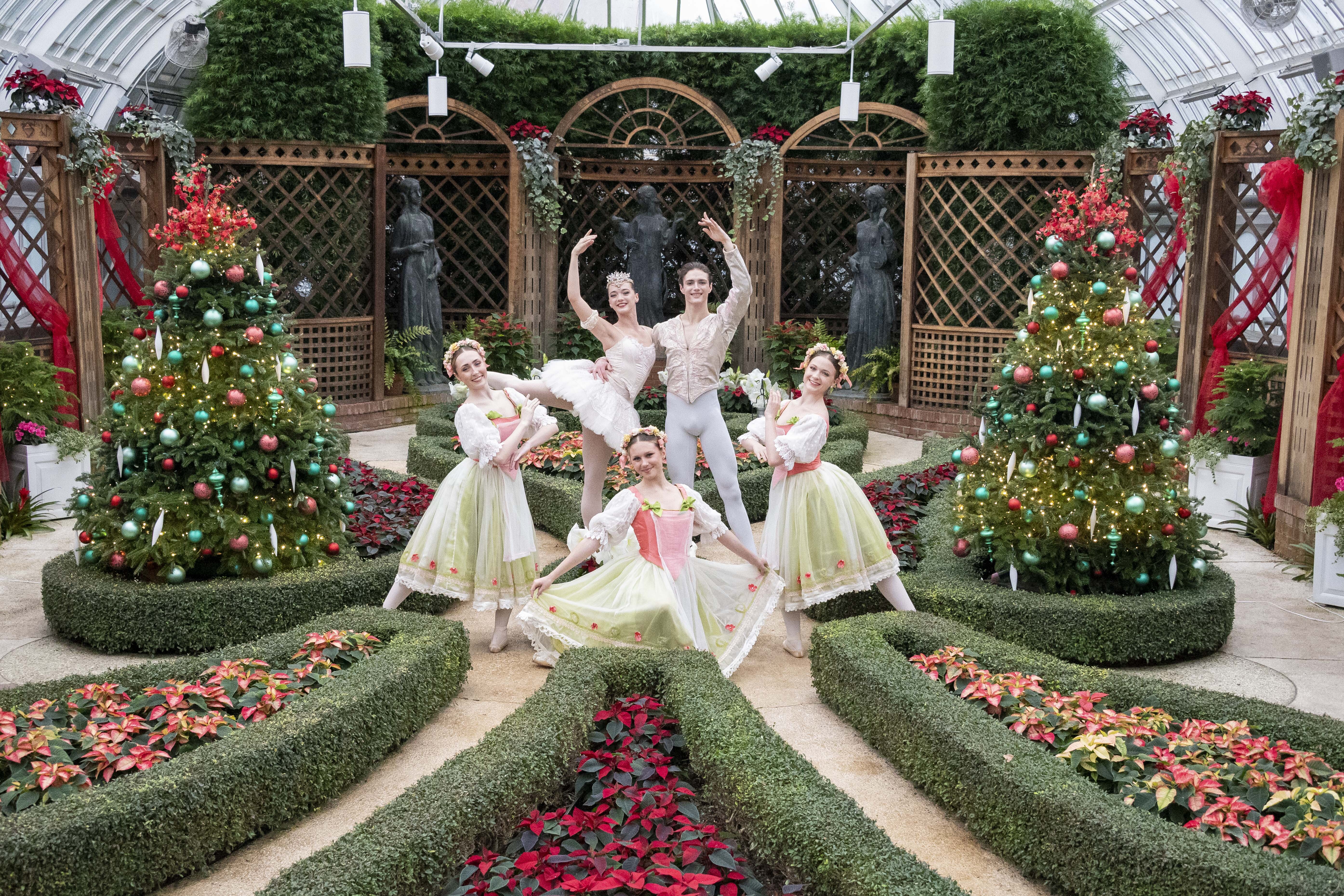 Poinsettias & Pointe Shoes