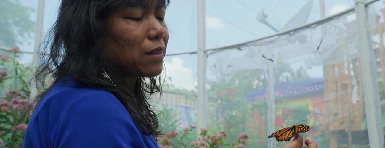 Backyard Docs Film Festival Presents: Shorts Program