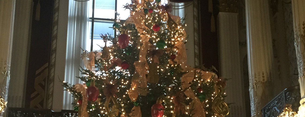tree