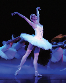 Swan Lake