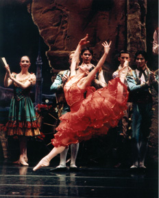 Don Quixote